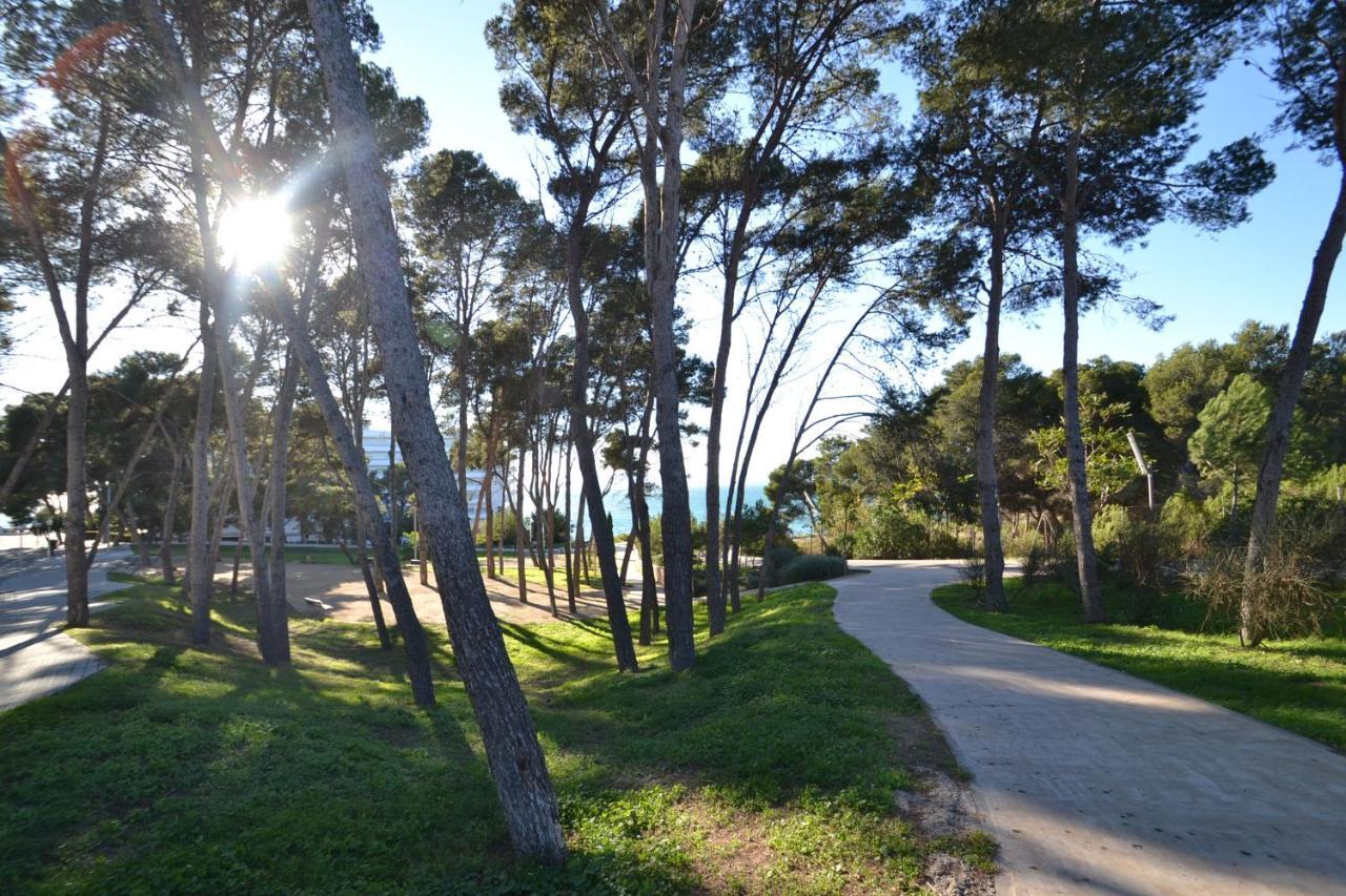 Appartement Wvp - Mariposa